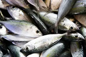 Phuket Dovolená Thajsko Odlet Z Brna Čedok