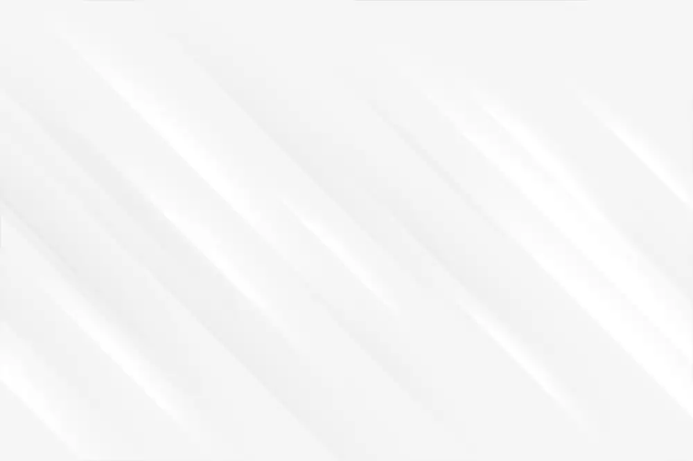 redzed koncerty 2025